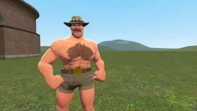 VSH VS Saxton Hale mann vs mann