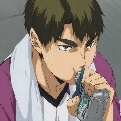 Wakatoshi ushijima