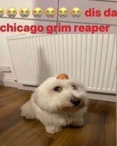 What even is this 😭