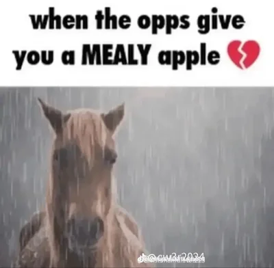 when the opps give you a mealy apple