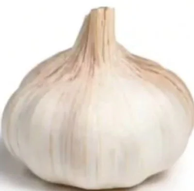 Whole garlic