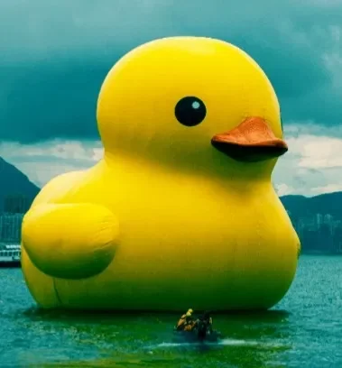 Why are you even here??? Request bot ig?