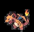 Wild Charizard