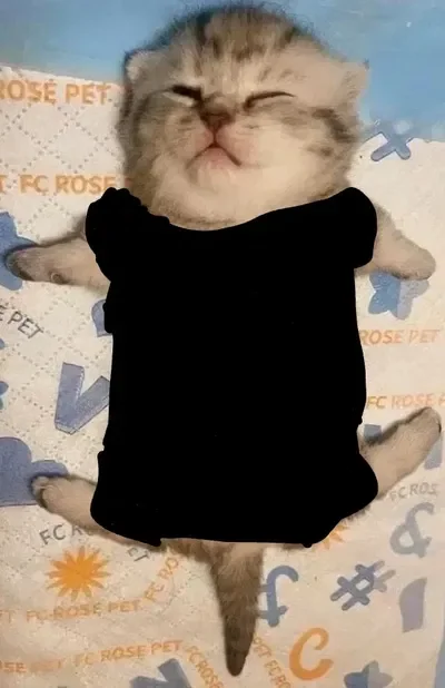 [WIP] "Snuffles" the amnesia affected palico