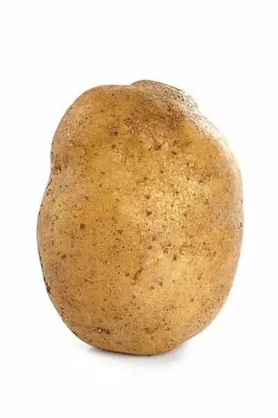 Wisdom-tato