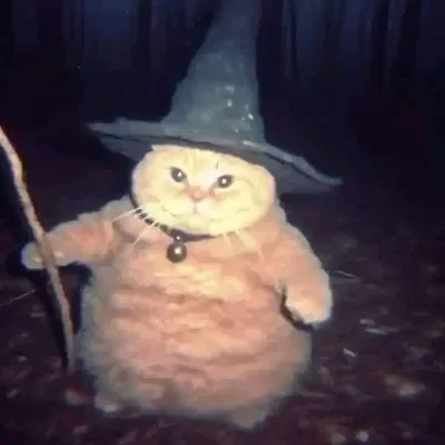 Witch cat
