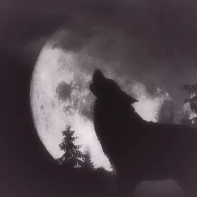 Wolf RPG