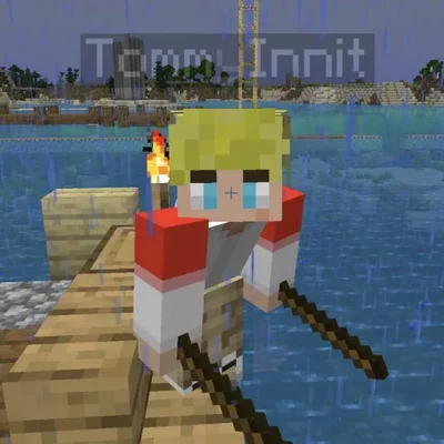 c Tommyinnit