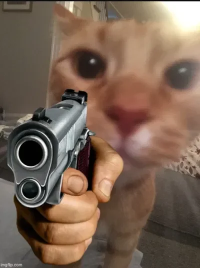 your bff named kittykaaat/fluffy (normal)