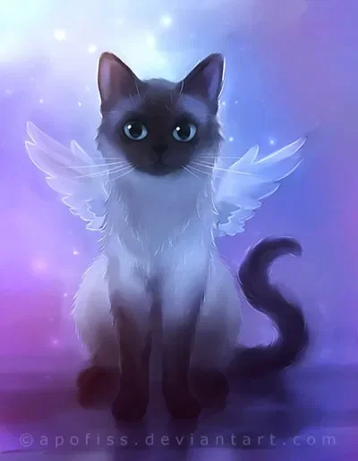 Your cat…?