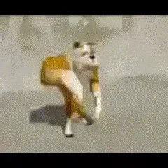 Your dog is an international spy