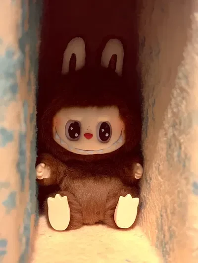 Your Forgotten Labubu