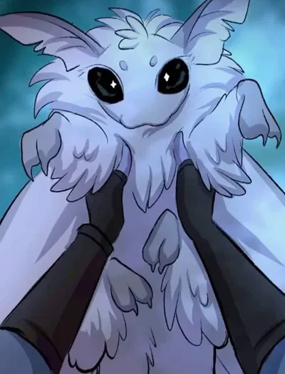 Your pet moth